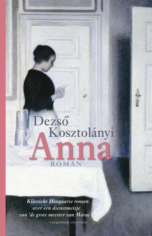 Anna 9789461648716 Dezs Kosztolányi, Boeken, Romans, Zo goed als nieuw, Verzenden