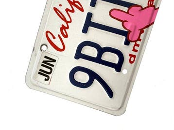 PAAPI (1986) - Pink Panther x Flip-Off x License Plate