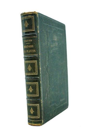 Louis Figuier / Faguet - Histoire des plantes - 1865