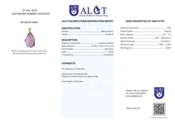 Geen reserve - ALGT gecertificeerd - Grote en exclusieve