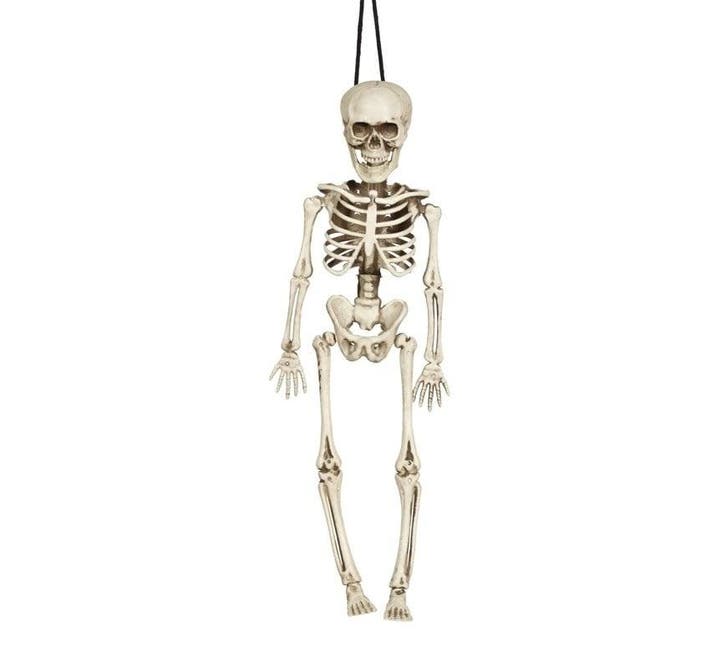 Halloween Skelet 40cm, Hobby en Vrije tijd, Feestartikelen, Nieuw, Verzenden