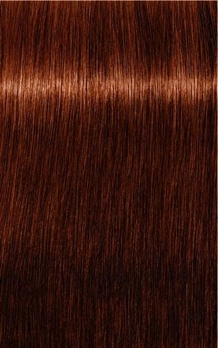 Schwarzkopf Professional Igora Royal Absolutes 60ml, Verzenden, Nieuw, Overige typen