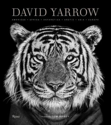David Yarrow Photography | David Yarrow; Tom Brady | Nieuw, Verzenden, Nieuw, David Yarrow; Tom Brady