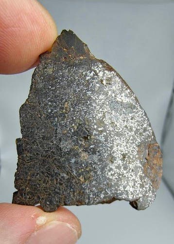 Mesosiderietmeteoriet. (NWA 18216) Geen veilingreserve. -, Collections