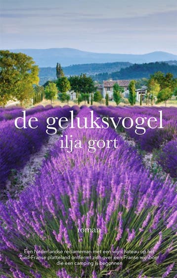 De geluksvogel 9789082701548 Ilja Gort, Boeken, Verzenden, Zo goed als nieuw, Ilja Gort