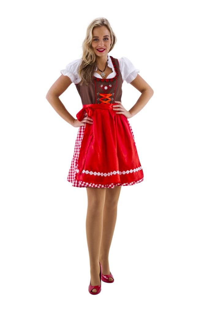 Dirndl bruin-rood/wit geruit, Hobby & Loisirs créatifs, Articles de fête, Envoi