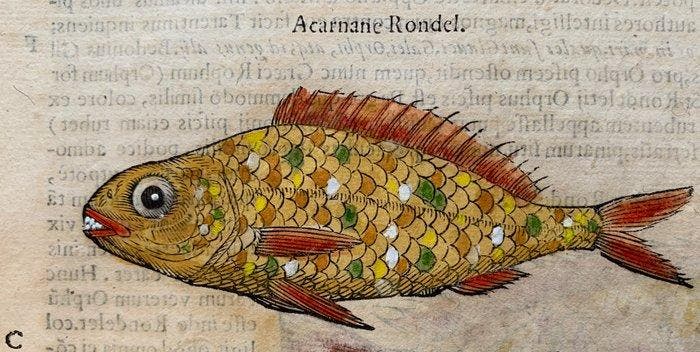 Ulisse Aldrovandi - De Piscibus Libri V - 1638, Antiek en Kunst, Antiek | Boeken en Manuscripten