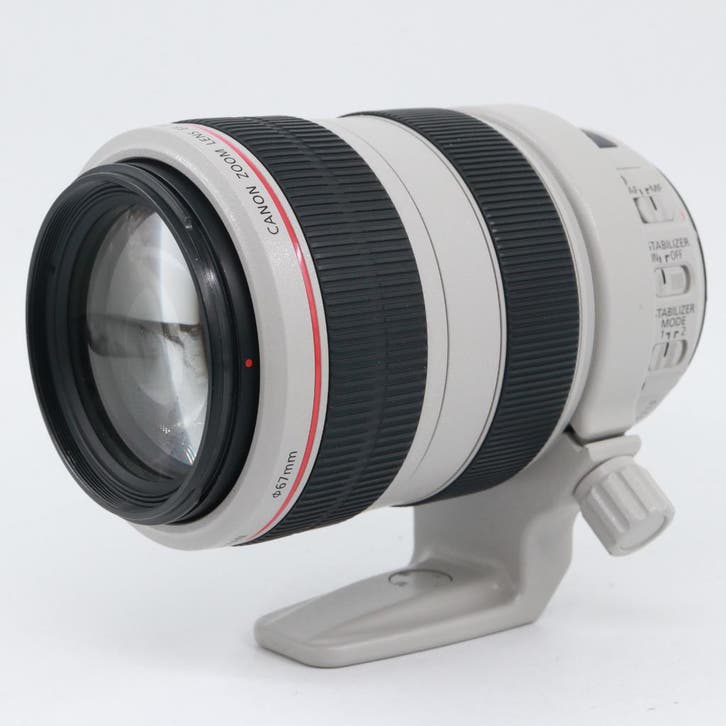 Canon EF 70-300mm f/4-5.6 L IS USM | Tweedehands, Audio, Tv en Foto, Foto | Lenzen en Objectieven, Zo goed als nieuw, Verzenden