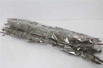 Lychenmos Greymos op tak Naturel 500 gram per bundel, Nieuw