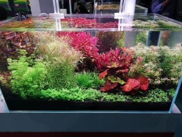 Osaka compleet CO2 systeem tot 400 liter incl. magneetventie, Verzenden, Nieuw