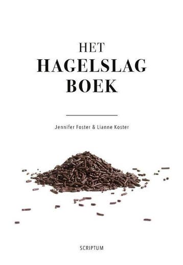 Het hagelslagboek 9789463191302 Lianne Koster, Verzenden, Zo goed als nieuw, Lianne Koster