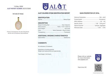 Geen reserve - ALGT gecertificeerd - Zeer exclusieve