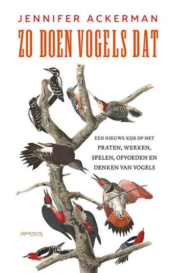 Zo doen vogels dat 9789044645910 Jennifer Ackerman, Livres, Verzenden, Jennifer Ackerman