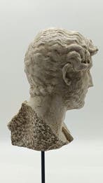 sculptuur, Adriano - 38 cm - marmerstof