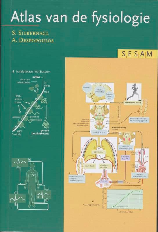 Sesam atlas van de fysiologie 9789055745883 S. Silbernagl, Livres, Science, Envoi
