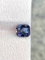 Zonder minimumprijs Blauw, Roze, Paars, Violet Saffier -, Nieuw