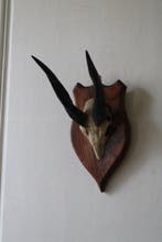 Jachttrofee, Antiek en Kunst