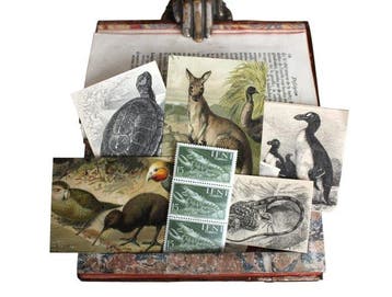 [Boîte à Secrets] Buffon - Histoire Naturelle - Secret Book