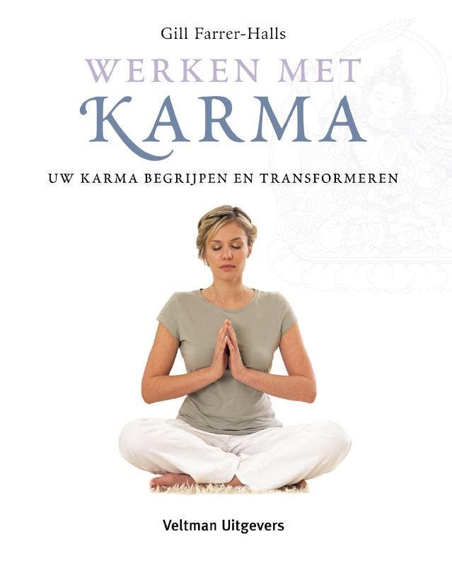 Werken met karma 9789059208070 G. Farrer-Halls, Boeken, Esoterie en Spiritualiteit, Gelezen, Verzenden
