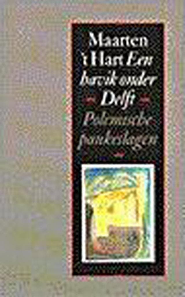 HAVIK ONDER DELFT 9789029520461 Maarten t Hart, Boeken, Literatuur, Gelezen, Verzenden