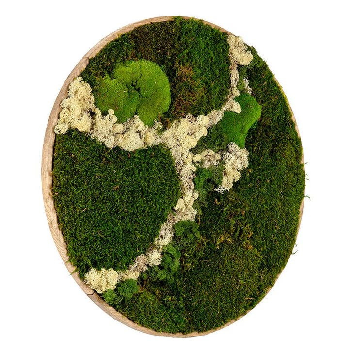 Mosschilderij Rond 40 cm Ongelakt Eiken - Svendborg Latte, Huis en Inrichting, Woonaccessoires | Lijsten, Verzenden