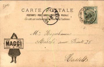 chiens - Carte postale (101) - 1900-1999