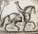 Gueriniere - Ecole de Cavalerie - 1736