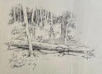 Louise Abbéma (1853-1927). - La forêt. Paysage avec Arbres, Antiquités & Art, Art | Peinture | Classique
