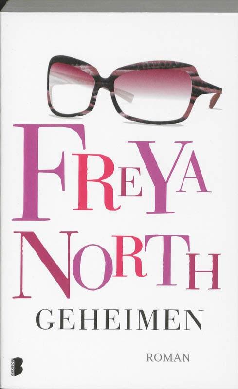 Geheimen 9789022555569 Freya North, Livres, Romans, Envoi