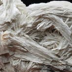 ZEER ZELDZAME WITTE WOLLIGE TREMOLIET, Zwitserland