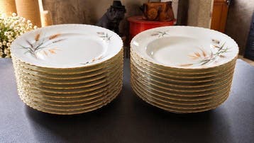 ADP - Tafelservies (24) - Porselein