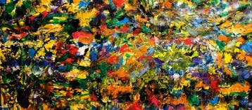 Denis Mihai - The Butterflies of the Amazon