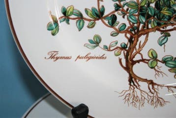 Villeroy & Boch - Botanica - Assiette de petit-déjeuner (6), Antiquités & Art