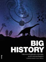 Big history 9789089535214 Constance van Hall, Verzenden, Zo goed als nieuw, Constance van Hall