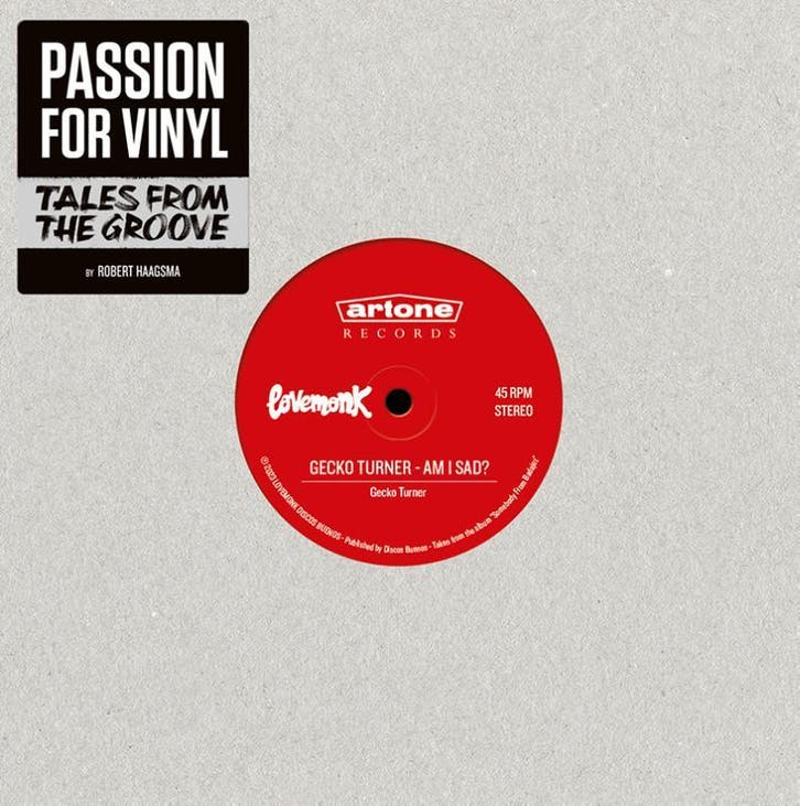 Passion For Vinyl 9789082783919 Robert Haagsma, Boeken, Overige Boeken, Nieuw, Verzenden