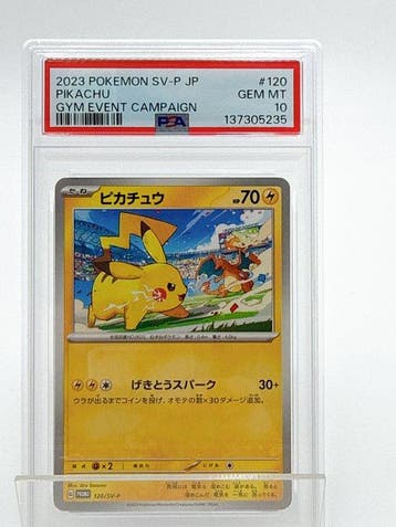 Pokémon - 1 Graded card - 2023 Pokémon Pikachu 120/SV-P Gym
