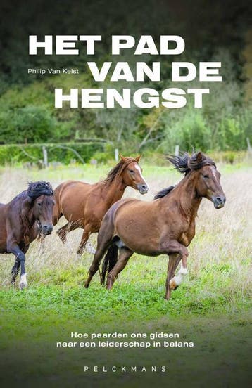 Het Pad Van De Hengst | Philip Van Kelst | Nieuw, Verzenden, Philip Van Kelst