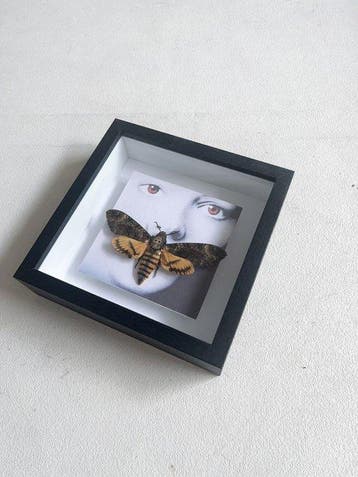Insecte Support de corps entier pour taxidermie - Deaths