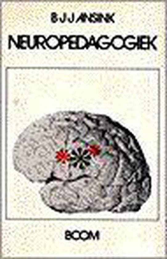 NEUROPEDAGOGIEK 9789060097694 B.J.J. Ansink, Boeken, Studieboeken en Cursussen, Gelezen, Verzenden