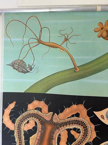 Jung-Koch-Quentell - Lehrmittelverlag Hagemann - Hydra -