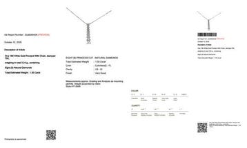 Ketting met hanger - 18 karaat Witgoud - 1.30ct. tw. Diamant