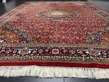 Ghoum - Tapijt - 340 cm - 245 cm, Nieuw