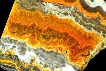 Hoge kwaliteit, zeldzame Bumblebee-jasper slice uit