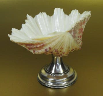 Presenteer schaaltje met schelp, Cornelis Johannes