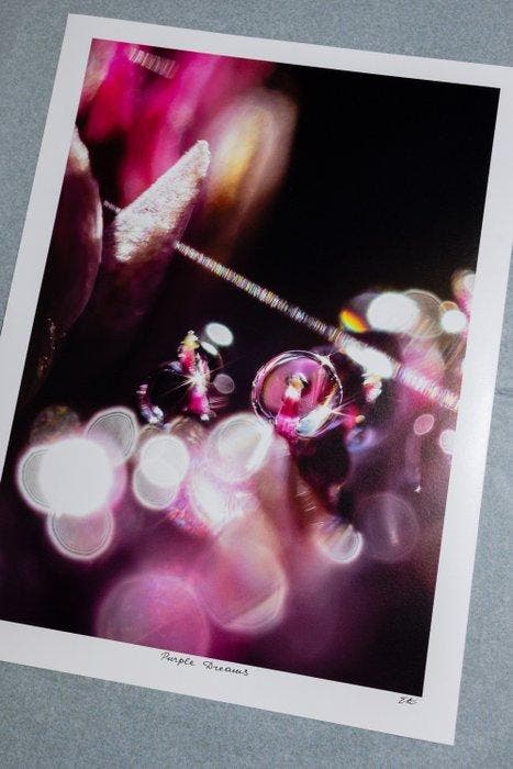 Inna Etuvgi - Purple Dreams, Antiquités & Art, Art | Objets design