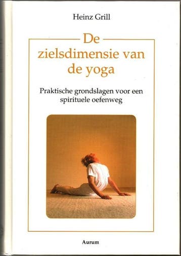 De zielsdimensie van de yoga 9789080352643 Heinz Grill, Livres, Ésotérisme & Spiritualité, Verzenden, Heinz Grill