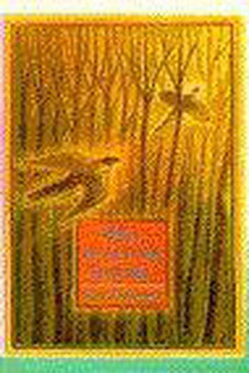 Het woud der belofte 9789041005816 Jean Hegland, Verzenden, Gelezen, Jean Hegland
