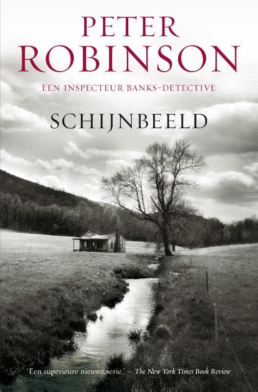 Schijnbeeld / DCI Banks / 5 9789022991275 Peter Robinson, Boeken, Thrillers, Gelezen, Verzenden