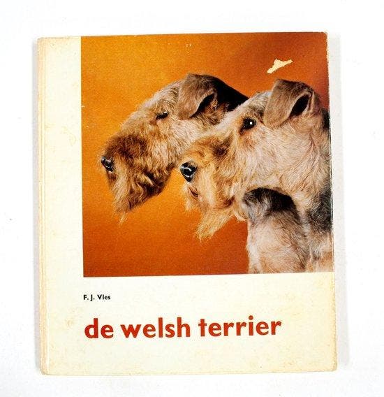 Welsh terrier - Vles, Livres, Livres Autre, Envoi