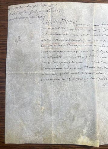 Louis XV [secrétaire] - brevet signé et contresigné par Le, Collections